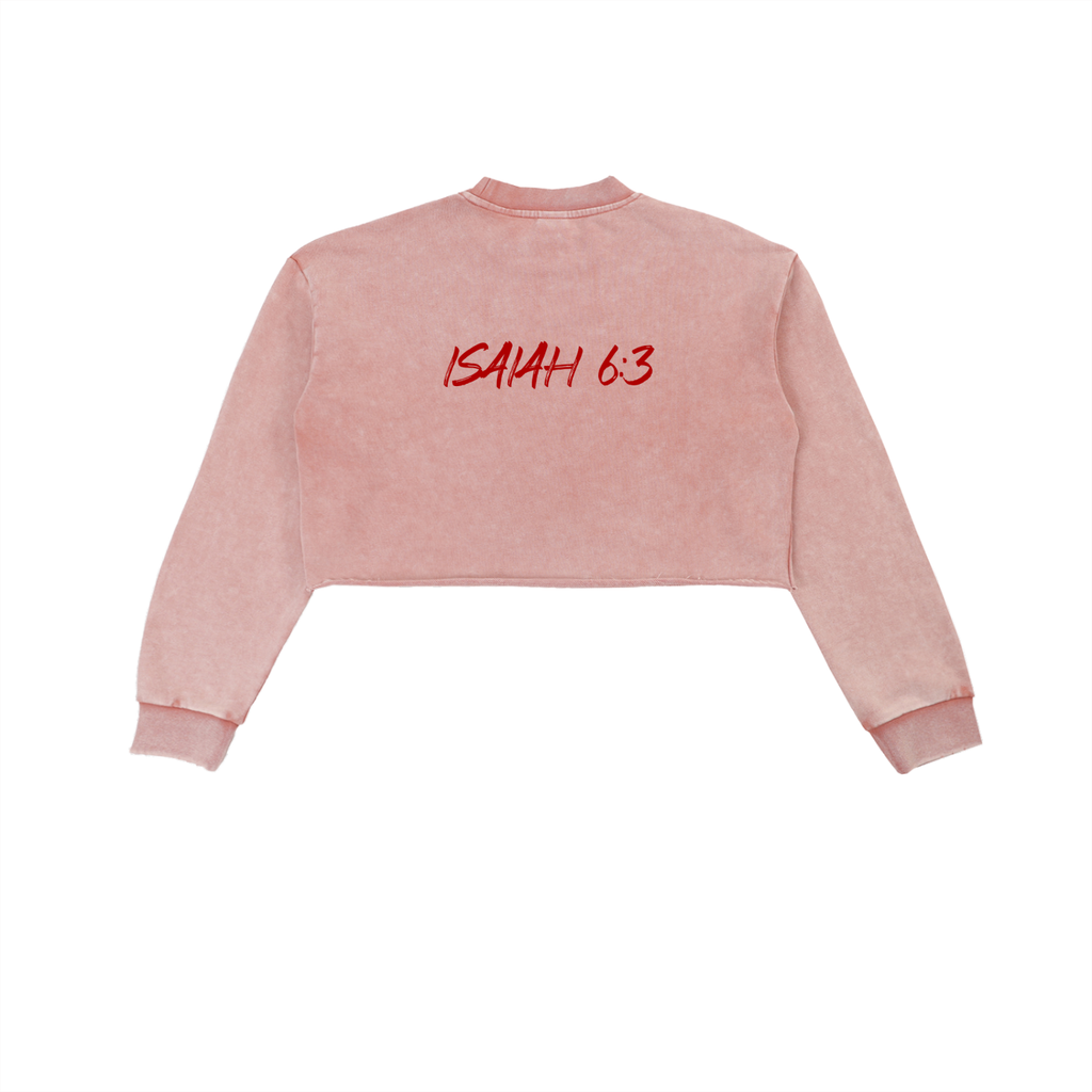 Snow Washed Seraphim Sweatshirt