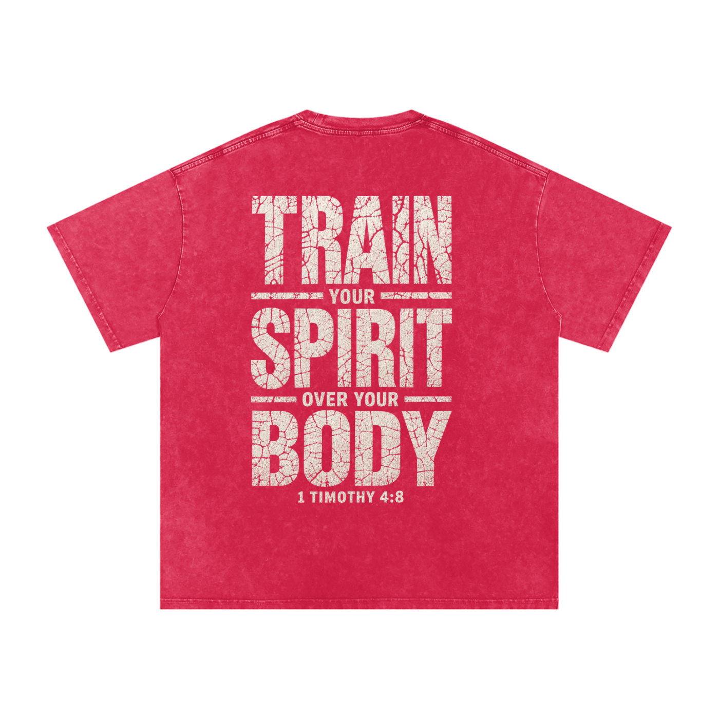 Snow Washed Train your spirit Oversized Cotton T-Shirt