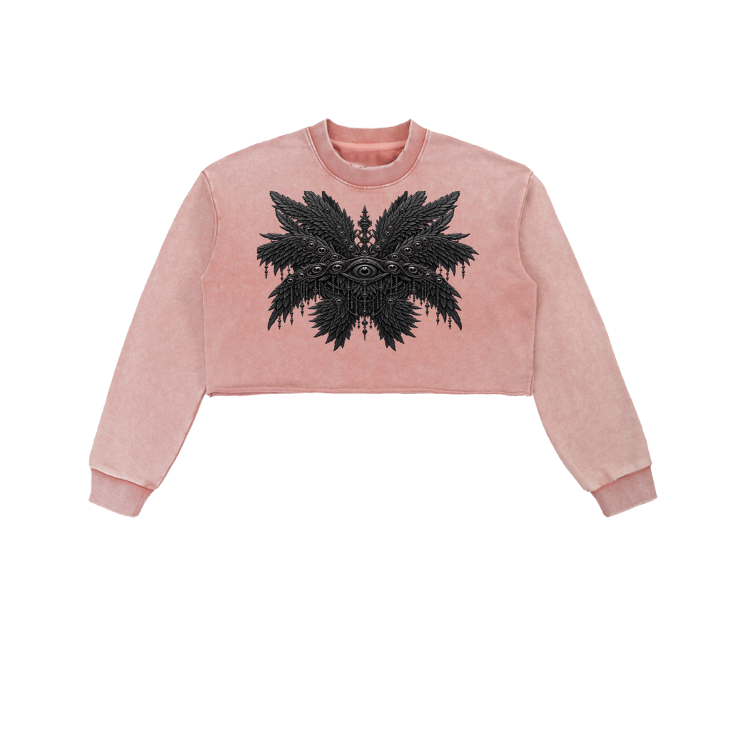 Snow Washed Seraphim Sweatshirt