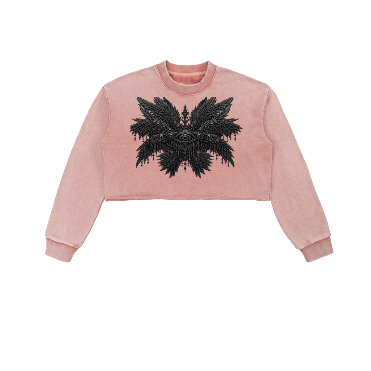 Snow Washed Seraphim Sweatshirt
