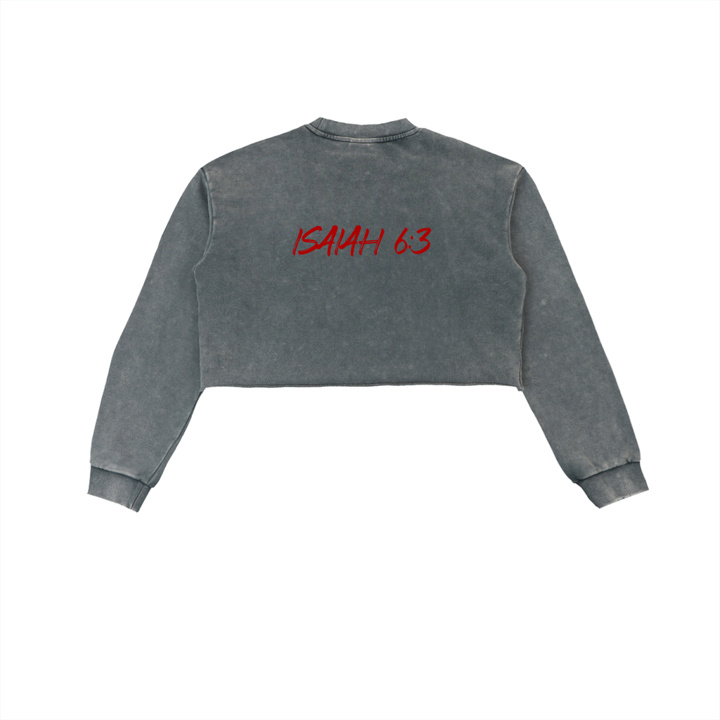 Snow Washed Seraphim Sweatshirt