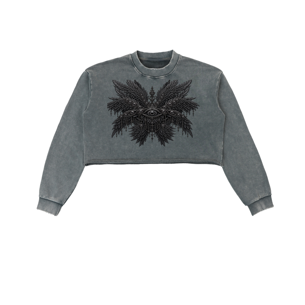 Snow Washed Seraphim Sweatshirt