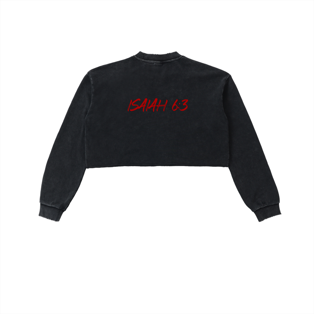 Snow Washed Seraphim Sweatshirt