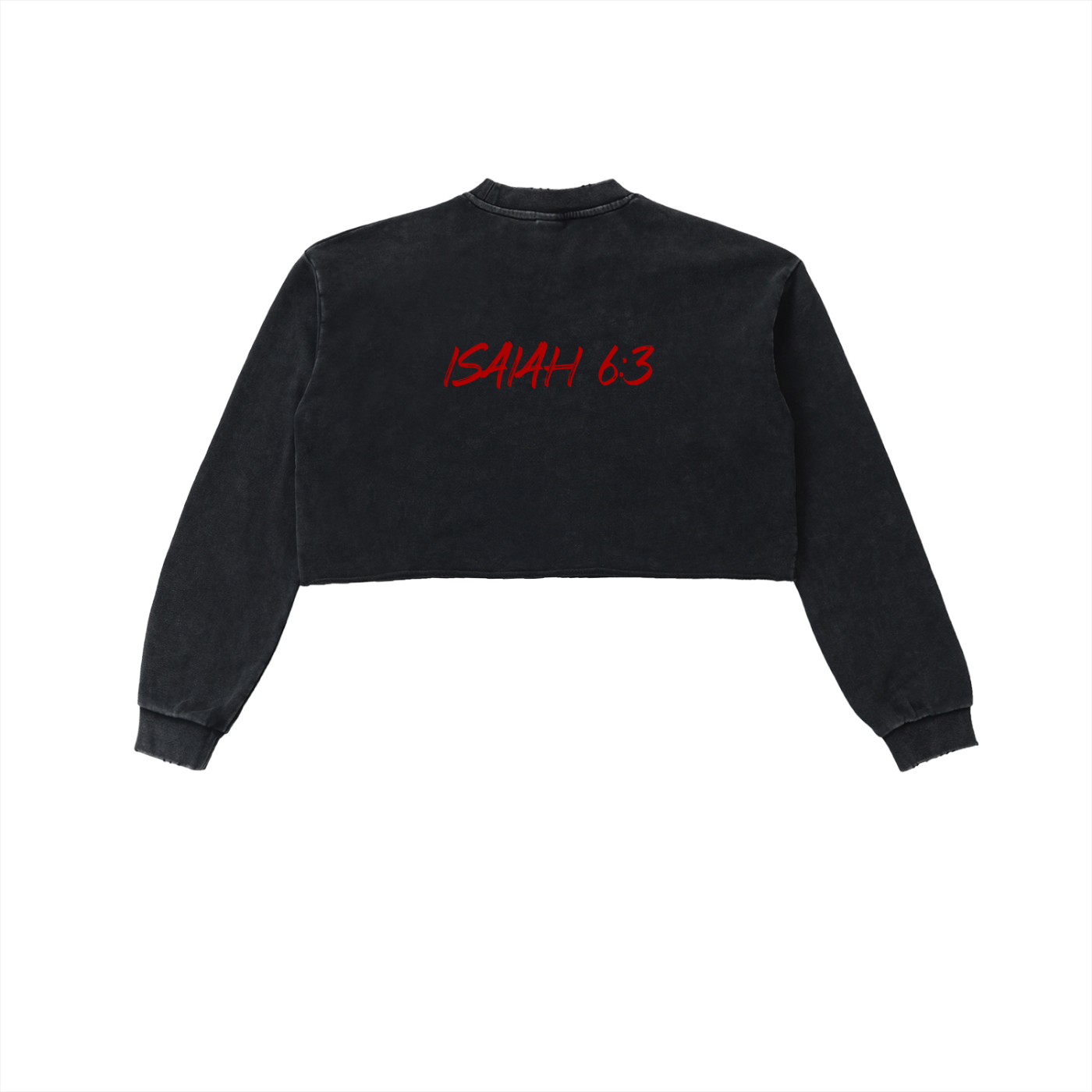 Snow Washed Seraphim Sweatshirt