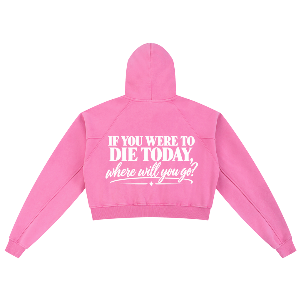 Present With the Lord — Snow Washed Cropped Hoodie